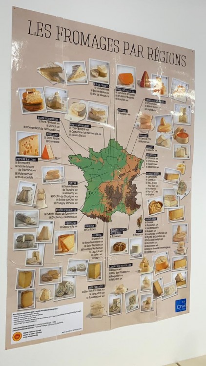Event A Taste of France: Cheese, Regions & Pairings Gallery10